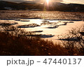 八島湿原 47440137