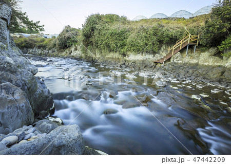西帰浦市 済州島 河川 47442209