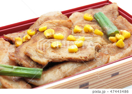 豚丼 豚丼 47443486