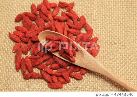 クコ 枸杞 クコ 枸杞 47443640