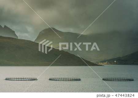 Beautiful view to the fish farm and mountains  47443824