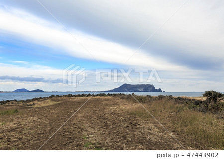 ソプチコジ 西帰浦市 済州島 47443902