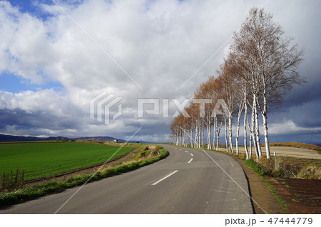 北海道 上川郡美瑛町の風景 北海道 上川郡美瑛町の風景 47444779