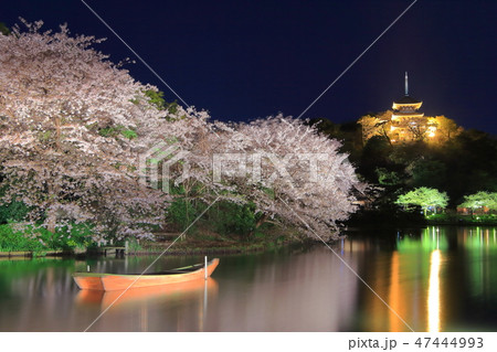 【神奈川県】三溪園の夜桜 【神奈川県】三溪園の夜桜 47444993