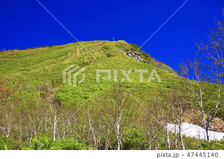 初夏の昆布岳 47445140