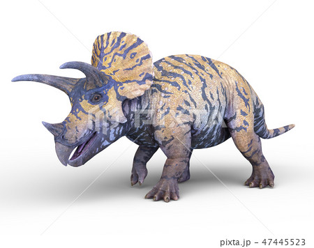 恐竜 47445523