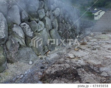 明礬地獄_大分 47445658