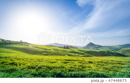 Direct sunlight at italian fields Direct sunlight at italian fields 47446675