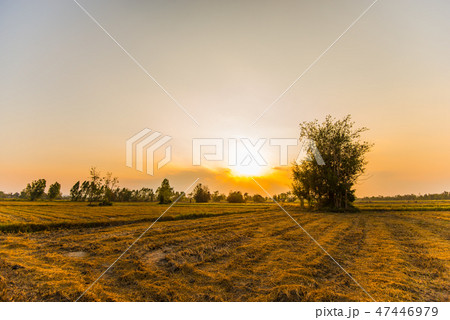 Beautiful sunsets in the countryside.39 Beautiful sunsets in the countryside.39 47446979