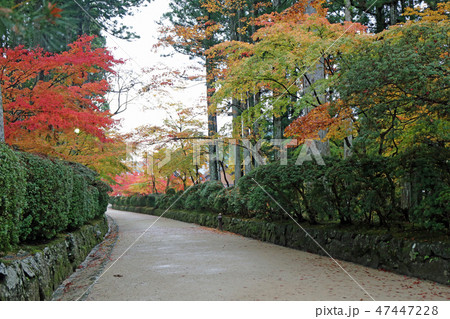 夕暮れ時の秋の高野山町 夕暮れ時の秋の高野山町 47447228