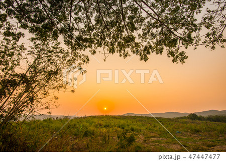 Thailand is an agricultural country.14 47447477