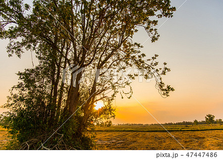 Beautiful sunsets in the countryside.40 Beautiful sunsets in the countryside.40 47447486