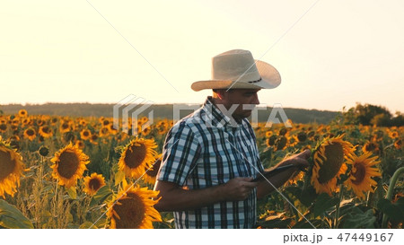 agricultural business concept. farmer walks in a flowering field. agronomist man osamatrivaet agricultural business concept. farmer walks in a flowering field. agronomist man osamatrivaet 47449167