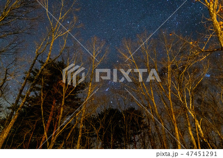 冬のキャンプ場の星空・エンゼルフォレスト那須白河(福島県) 冬のキャンプ場の星空・エンゼルフォレスト那須白河(福島県) 47451291