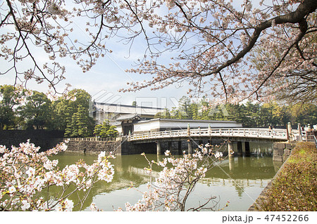 平川門と桜 47452266