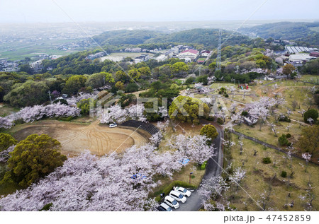 春の甘木山公園空撮 47452859