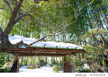 雪の庭園 47453203