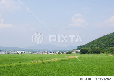 岡山 47454262