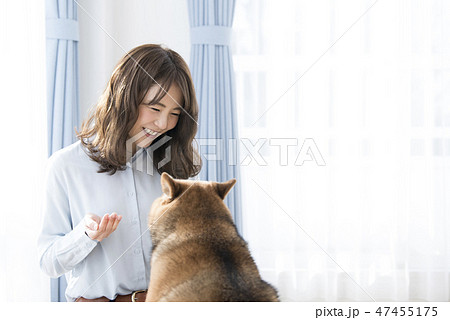女性と柴犬 女性と柴犬 47455175