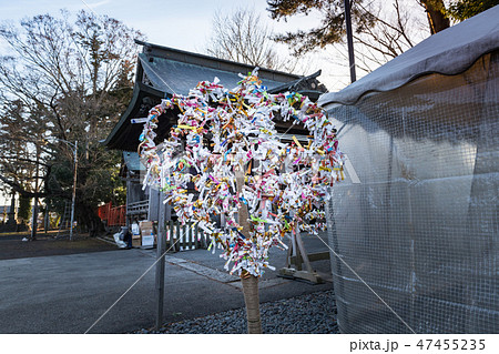 正月の宮城佐沼の津島神社拝殿とハートに見えるおみくじ掛け 47455235