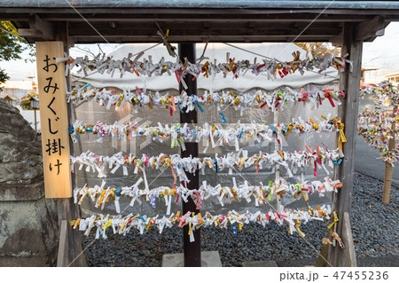 正月の宮城佐沼の津島神社のおみくじ掛け 47455236