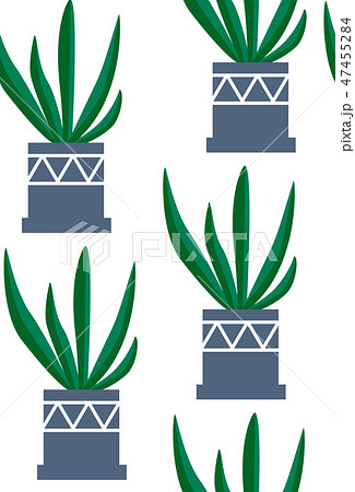 Exotic seamless pattern tropical houseplant Exotic seamless pattern tropical houseplant 47455284