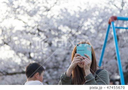 さくらを撮影する女性 さくらを撮影する女性 47455670