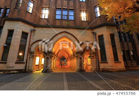 東京大学本郷キャンパスの紅葉の写真素材