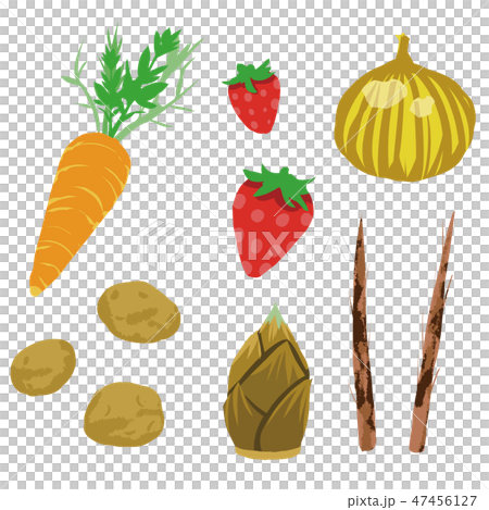 春野菜野菜 イラストセット2 -spring vegetables set2- 春野菜野菜 イラストセット2 -spring vegetables set2- 47456127