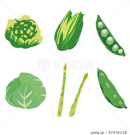 春野菜 緑黄色野菜 イラストセット1 Green Yellow Vegetables Set1 のイラスト素材