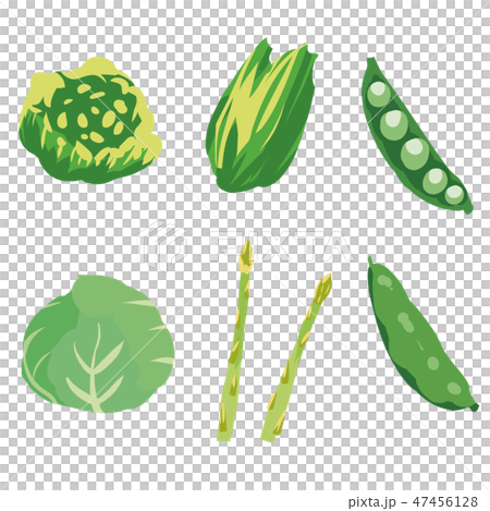 春野菜・緑黄色野菜 イラストセット1 -green yellow vegetables set1- 春野菜・緑黄色野菜 イラストセット1 -green yellow vegetables set1- 47456128