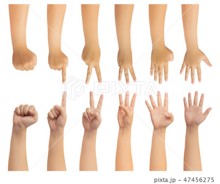 Human hand isolate on white background Human hand isolate on white background 47456275