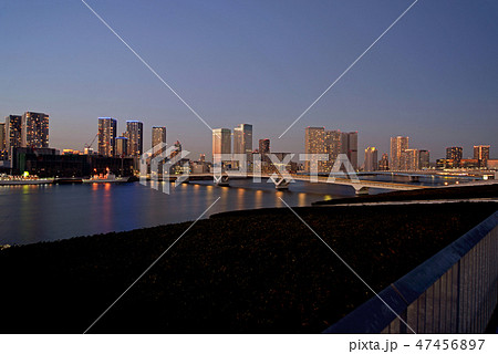 豊洲市場屋上からの夜景 47456897