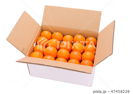 箱入りのミカン 47458226