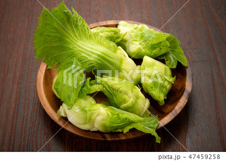 子持ち高菜 47459258