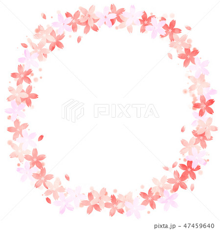 桜円フレーム 桜円フレーム 47459640