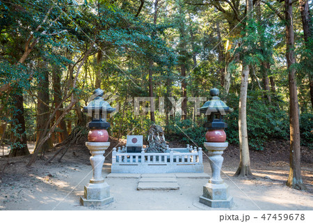 鹿島神宮 さざれ石 （茨城県鹿嶋市） 2019年1月現在 47459678