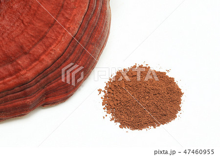 霊芝と胞子　イメージ 47460955