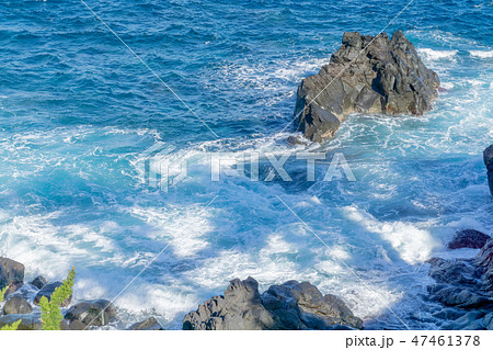 城ヶ崎海岸 47461378