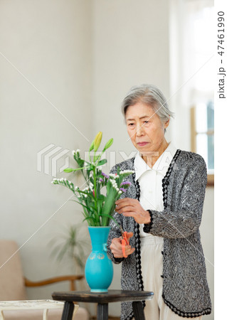 花瓶に花を指すシニア女性の写真素材