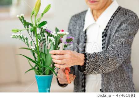 花瓶に花を指すシニア女性の写真素材