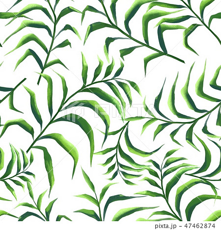 Seamless floral pattern. Palm leaves 47462874