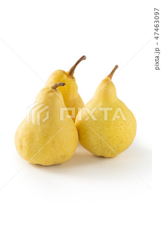 西洋梨 ルレクチエ 西洋梨 ルレクチエ 47463097
