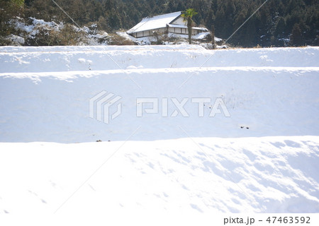 雪景色 雪景色 47463592