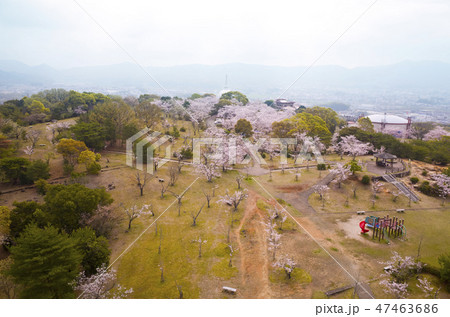 春の甘木山公園空撮 47463686
