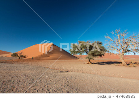 ナミビア　ナミブ砂漠　Dune45 47463935
