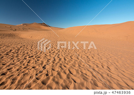 ナミビア　ナミブ砂漠 47463936