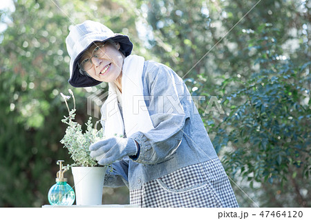 ガーデニングを楽しむシニア女性の写真素材