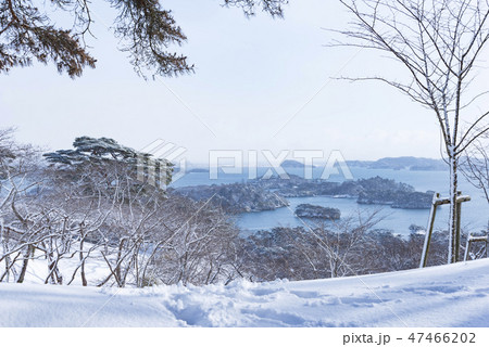 冬　松島　日本三景　雪　 47466202