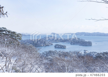 冬　松島　日本三景　雪　 47466203